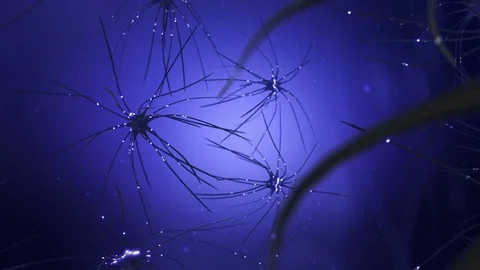 Neuron Cell Network Stock Footage 83194978