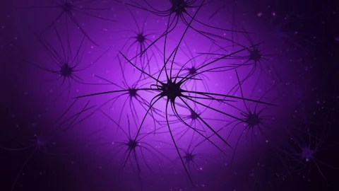 Neuron Cell Network Stock Footage 88626362