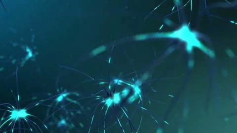 Neuron cell network inside the brain. CG animation Stock Footage 77312792