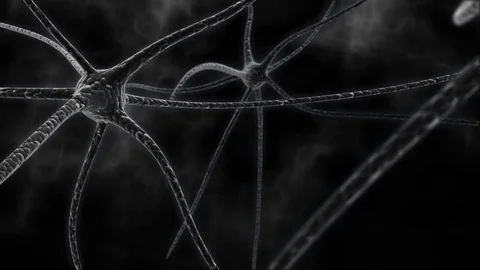 Neuron cell network inside the brain 库存影片 88353830