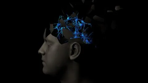 Neuron cell network inside the brain Stock Illustration