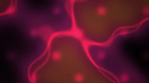 Neuron Cell Red Light Microscope View. Stock Footage 340039589