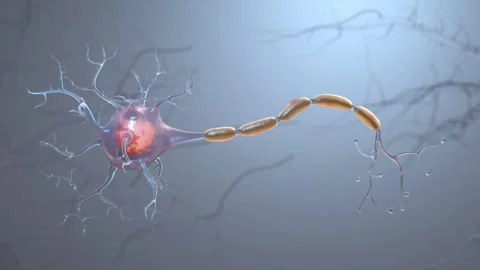 Neuron cell single Stock Footage 253819415