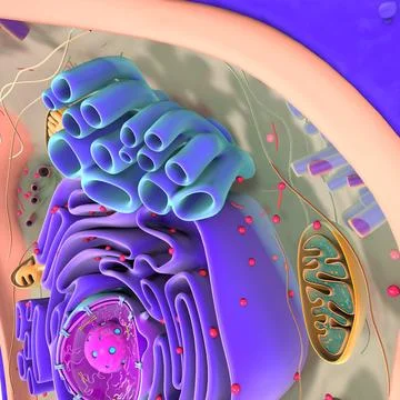 Neuron Cell Structure ~ 3D Model #91426166 | Pond5