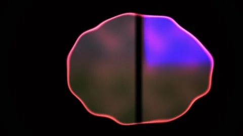 Neuron Cell Structure Under Microscope. Stock Footage 335114420