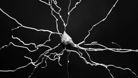 Neuron cell that transmits informations or memories Illustrazione stock
