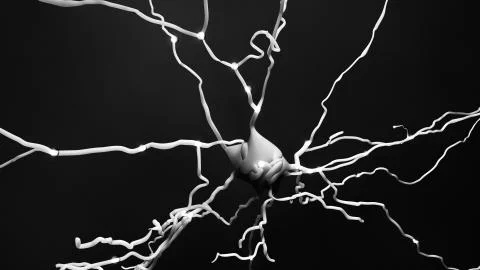 Neuron cell that transmits informations or memories Illustrazione stock
