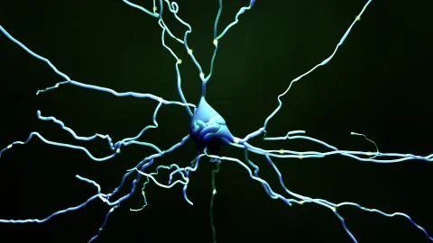 Neuron cell that transmits informations or memories Stock Illustration
