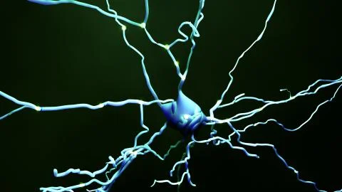 Neuron cell that transmits informations or memories Illustrazione stock