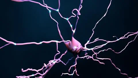 Neuron cell that transmits informations or memories Stock Illustration