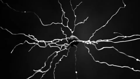 Neuron cell that transmits informations or memories Illustrazione stock