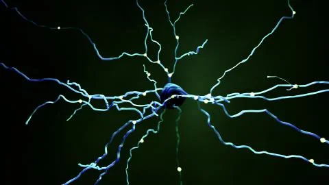 Neuron cell that transmits informations or memories Stock Illustration