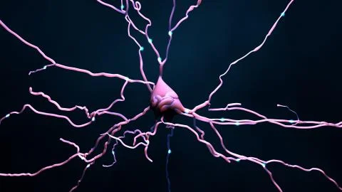 Neuron cell that transmits informations or memories Illustrazione stock