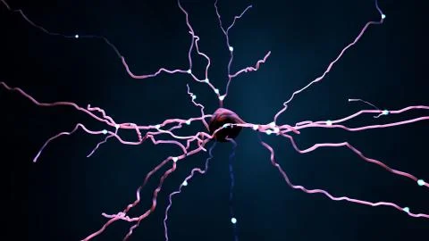 Neuron cell that transmits informations or memories Иллюстрация