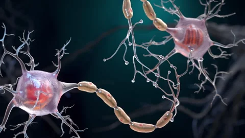 Neuron cells connection Stock Footage 252888922