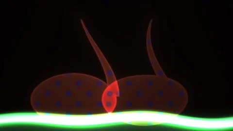 Neuron cells with glowing green light. Stock Footage 337489630