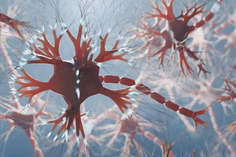 Neuron cells in human brain with glowing signals. 3D rendered illustration. Stock Photos
