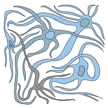 Neuron cells with long axons. Vector illustartion. Stock Illustration