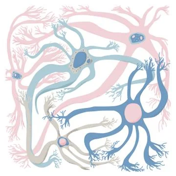 Neuron cells with long axons. Vector illustartion. Stock Illustration