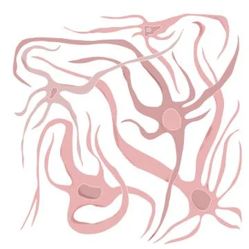 Neuron cells with long axons. Vector illustartion. Stock Illustration