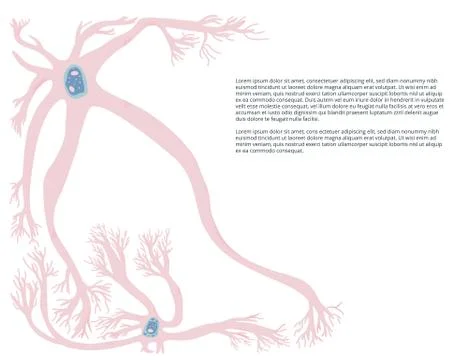 Neuron cells with long axons. Vector illustartion. Stock Illustration