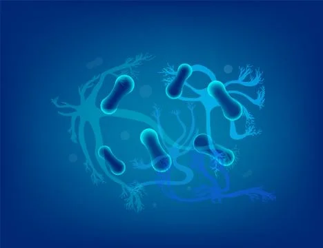 Neuron cells with long axons. Vector illustartion. Stock Illustration