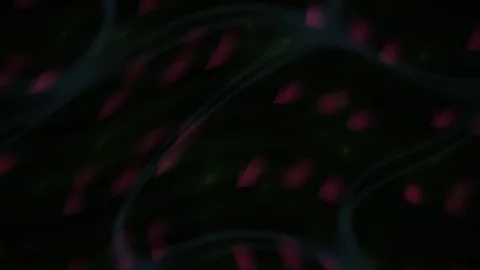 Neuron Cells in Microscopic View. Stock Footage 340039684