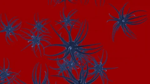 Neuron cells network structure with glowing impulse Stock Footage 102408276