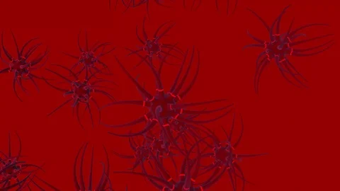 Neuron cells network structure with glowing impulse Stock Footage 102507493