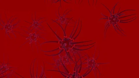 Neuron cells network structure with glowing impulse Stock Footage 103326109