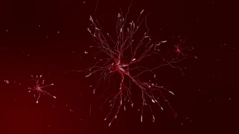 Neuron Cells Passing Signals Stock Footage 273234962