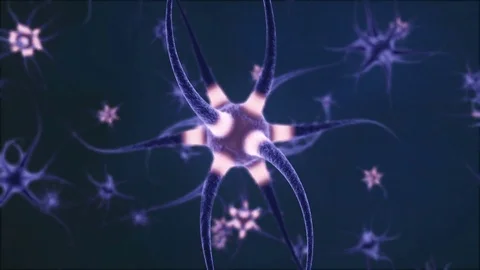 Neuron Cells, with sending informations, loop-able simulation Stock Footage 73498874
