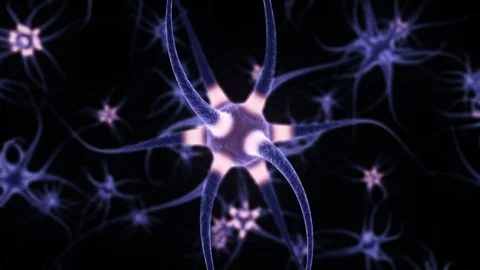 Neuron Cells, with sending informations, loop-able simulation Stock Footage 73499021