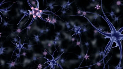 Neuron Cells, with sending informations, simulation Stock Footage 73499555
