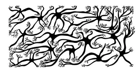 Neuron cells set. Collection of brain silhouette cells with axones and dendri Stock Illustration