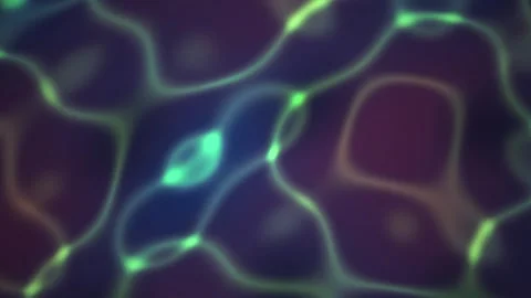 Neuron cells under microscope closeup. Stock Footage 340039713