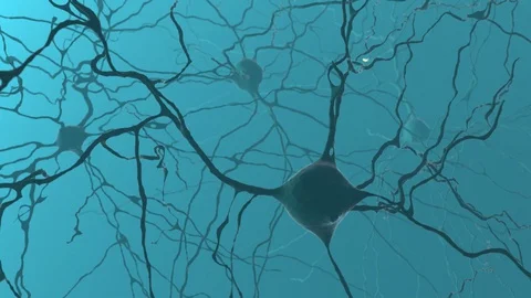Neuron cluster signal transfer inside human brain Stock Footage 129247758