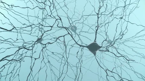Neuron cluster signal transfer inside human brain Stock Footage 129348392