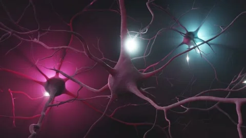 Neuron cluster signal transfer inside human brain Stock Footage 169694054