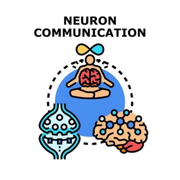 Neuron communication brain activity synapse connection concept Stock Illustration