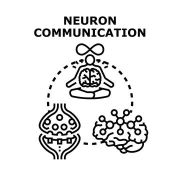Neuron communication brain activity synapse connection concept Stock Illustration