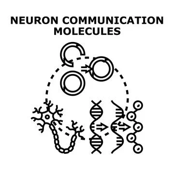 Neuron communication molecules and genetic information process Stock Illustration
