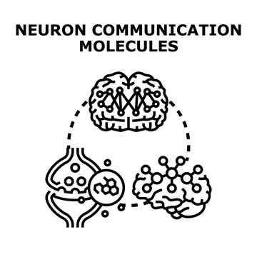 Neuron communication molecules optimizing brain function and health Stock Illustration