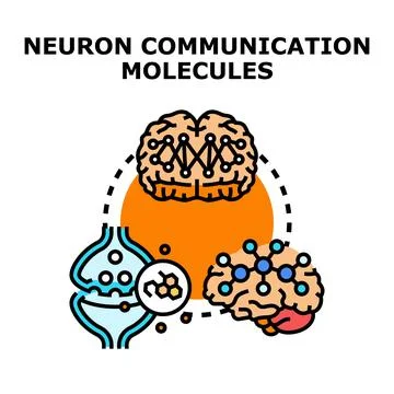 Neuron communication molecules optimizing brain function and health Illustrazione stock