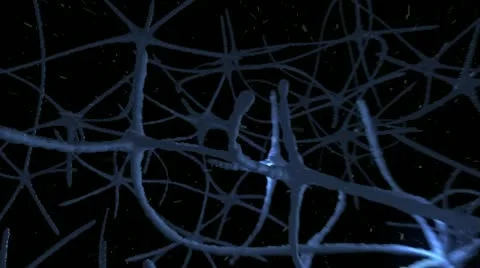 Neuron Connections Stock After Effects