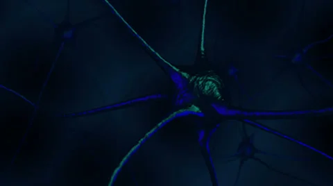 Neuron Fly-through Stock Footage 36200593