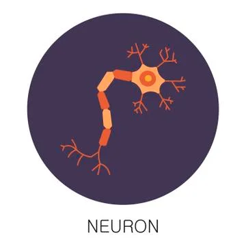 Neuron icon in flat style isolated on white background. Human anatomy medical Stock Illustration