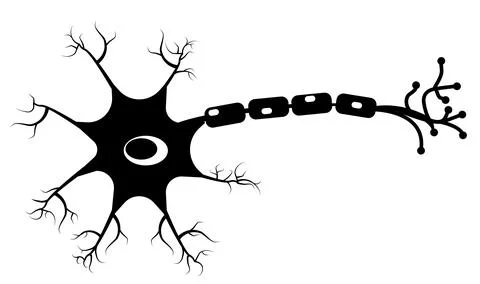 Neuron icon on white background. Human neuron cell sign. Brain neuron symbol. Stock Illustration