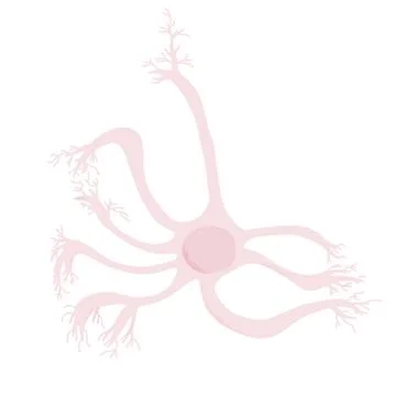 Neuron with long axons. Vector illustartion. Stock Illustration