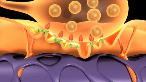 Neuron motor Stock Footage 70415564